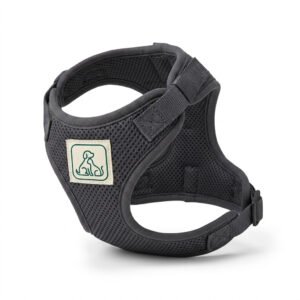 Padded No-Pull Harness — Solas Pet Co.